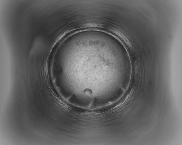 X0000116641023200912210957