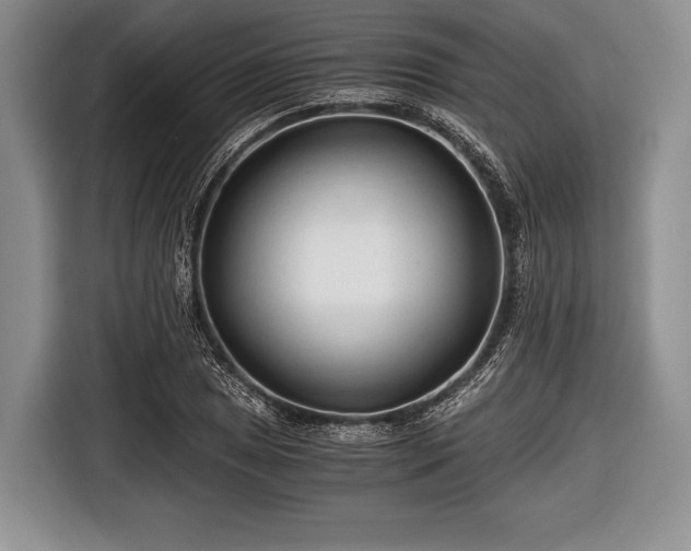 X0000116641025200912210957