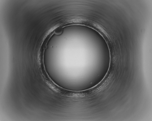 X0000116641026200912210957