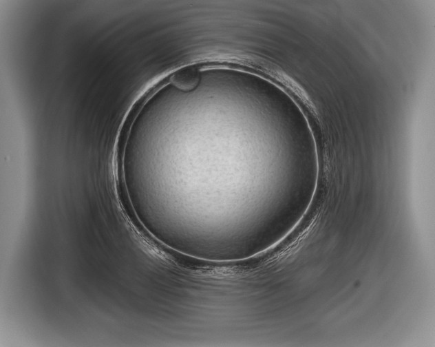 X0000116641028200912210958