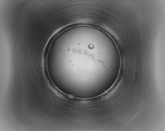 X0000116641029200912210958