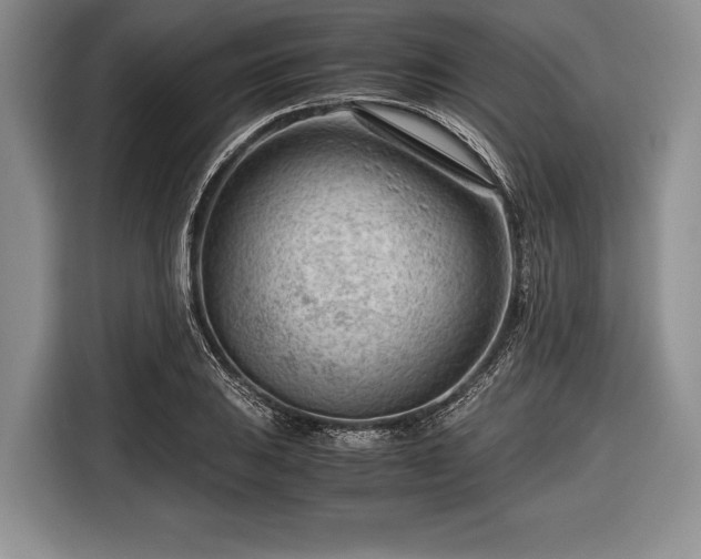 X0000116641031200912210958