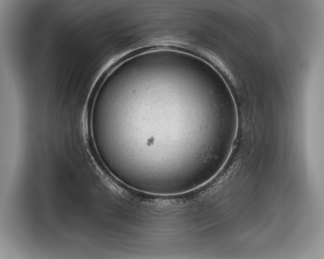 X0000116641032200912210958