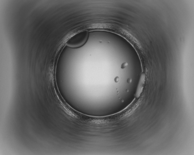 X0000116641033200912210958