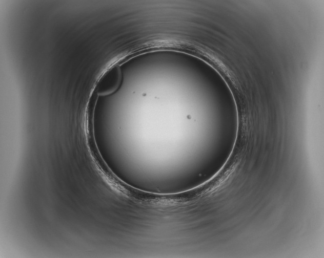 X0000116641034200912210958