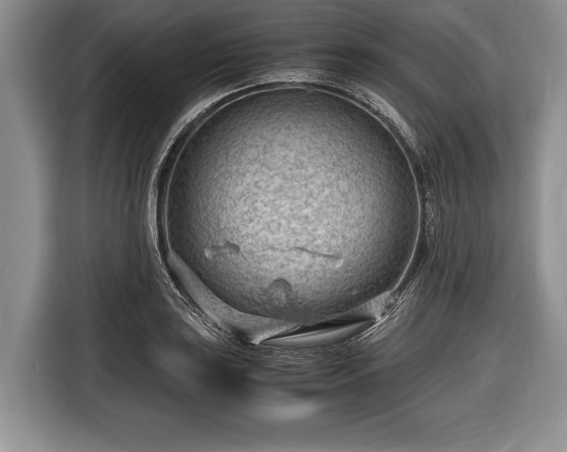 X0000116641035200912210958