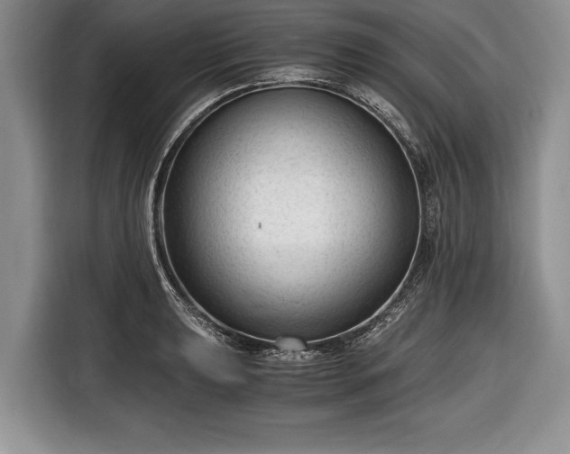 X0000116641039200912210958