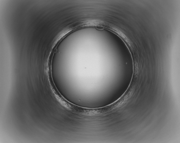 X0000116641042200912210958