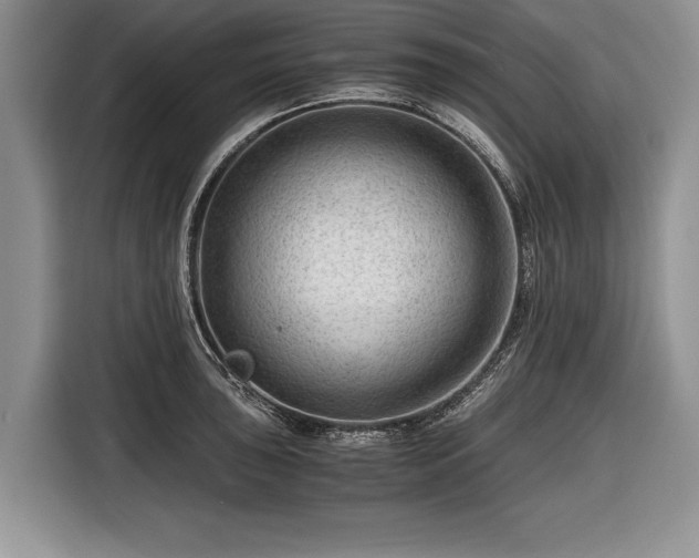 X0000116641043200912210958