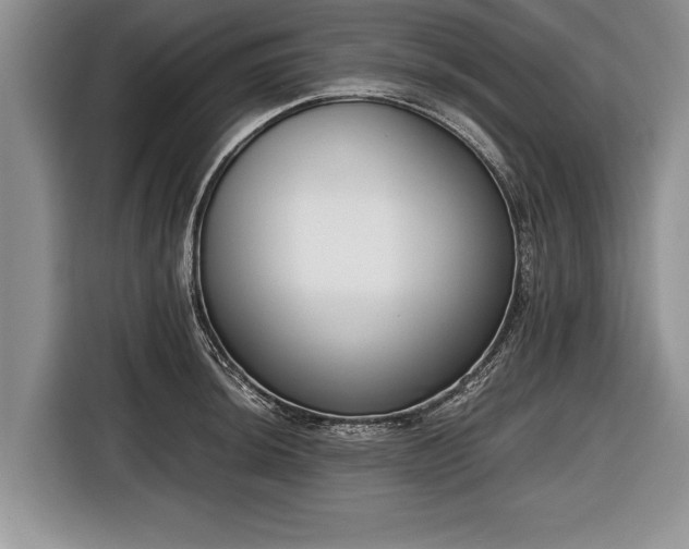 X0000116641044200912210958