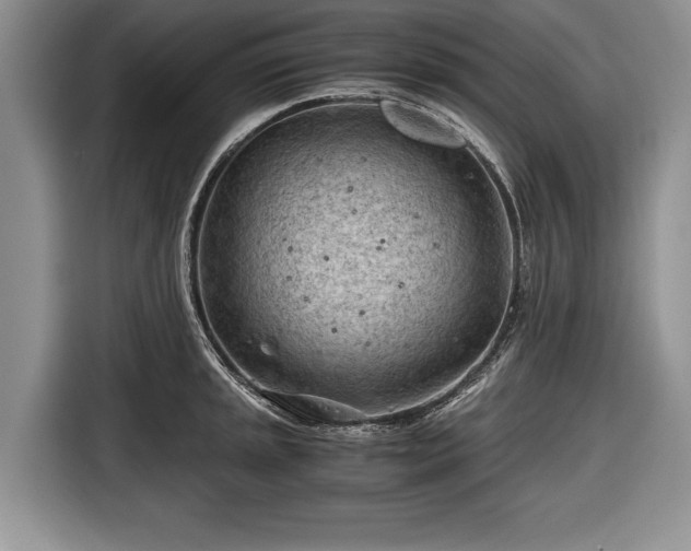 X0000116641045200912210958