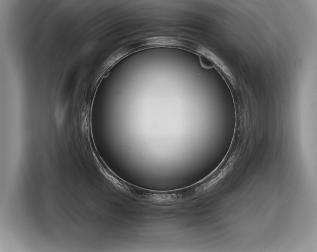 X0000116641049200912210958