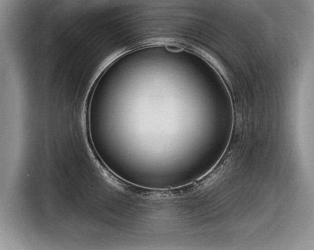 X0000116641050200912210958