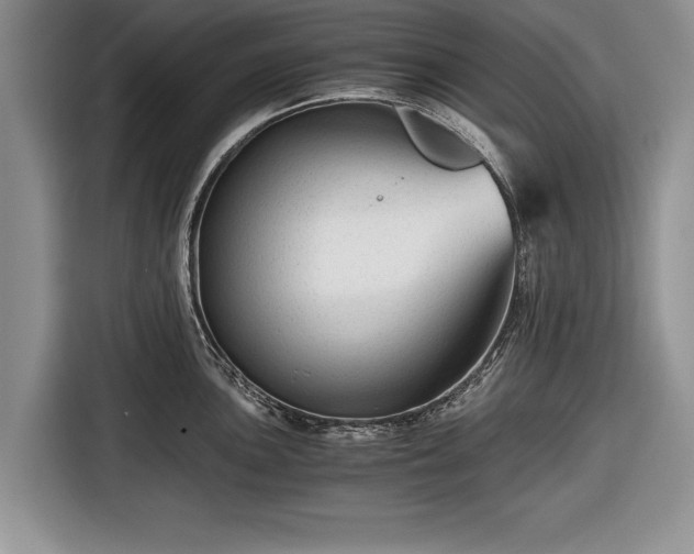 X0000116641051200912210958