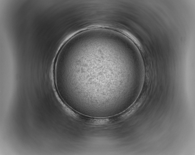 X0000116641055200912210958