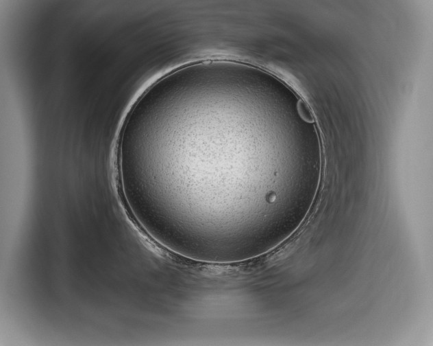 X0000116641056200912210958