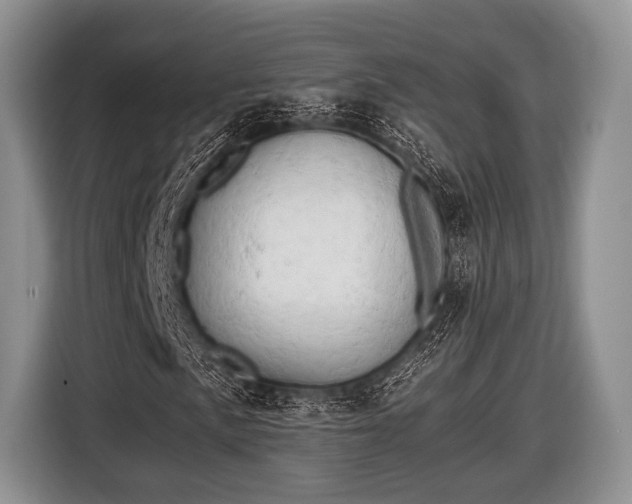 X0000116641057200912210957