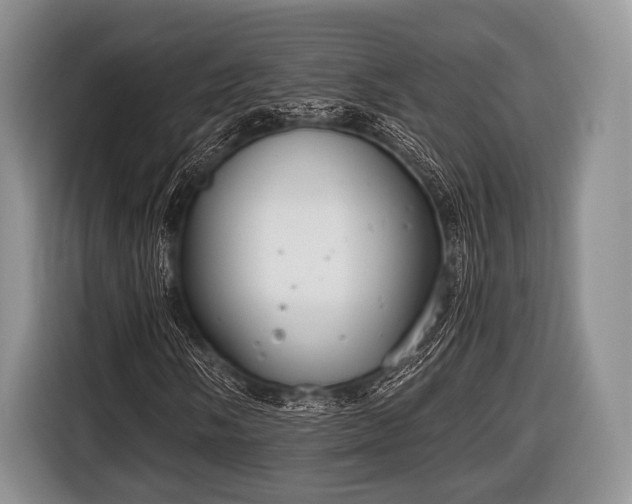 X0000116641058200912210957