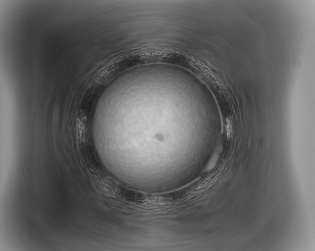 X0000116641059200912210957