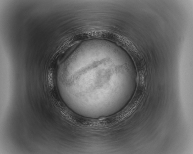 X0000116641060200912210957