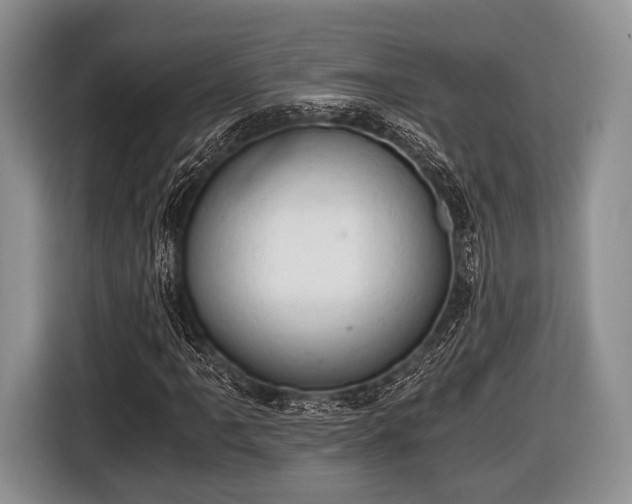 X0000116641061200912210957