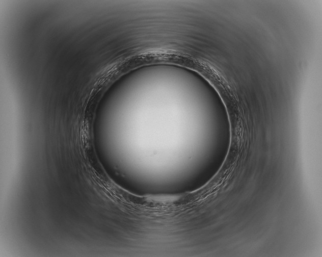 X0000116641062200912210957