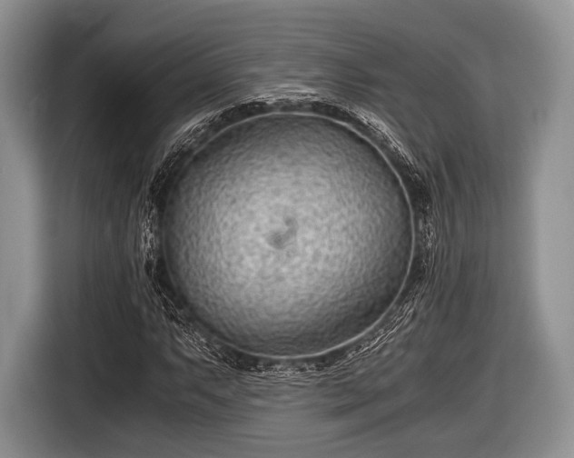 X0000116641063200912210957