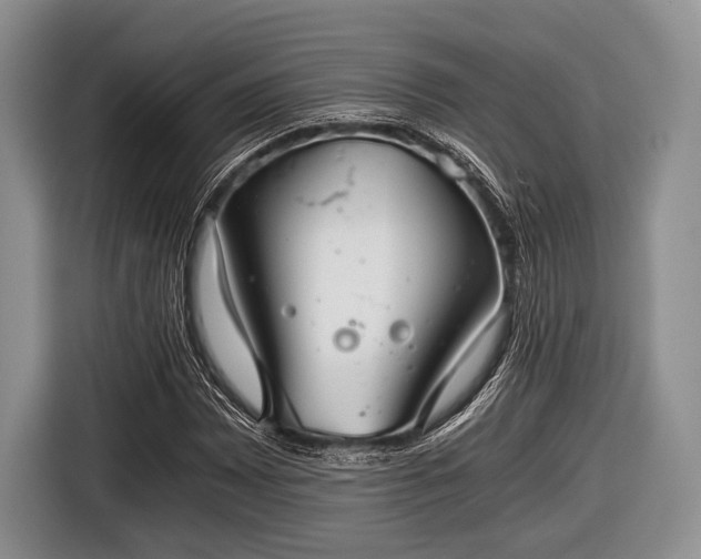 X0000116641065200912210957