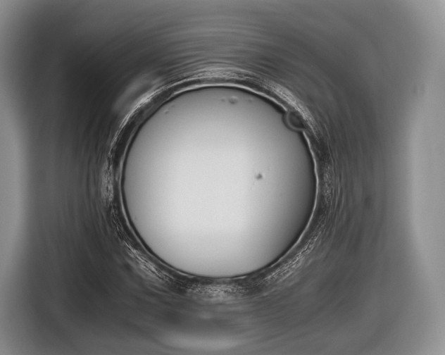 X0000116641067200912210957