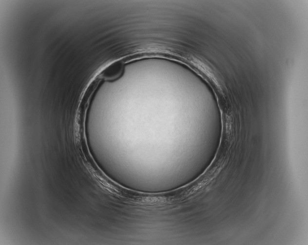 X0000116641068200912210957