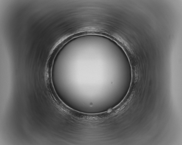 X0000116641070200912210957