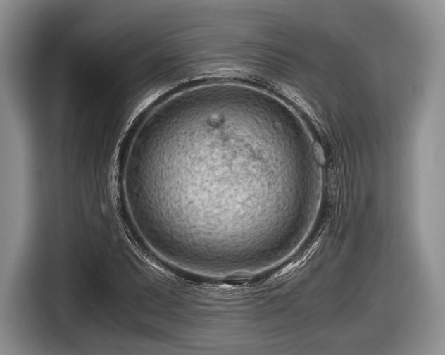 X0000116641071200912210957