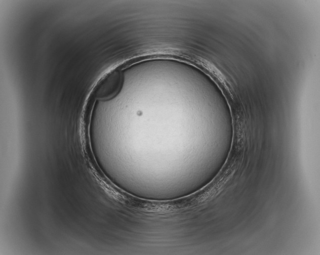 X0000116641072200912210957