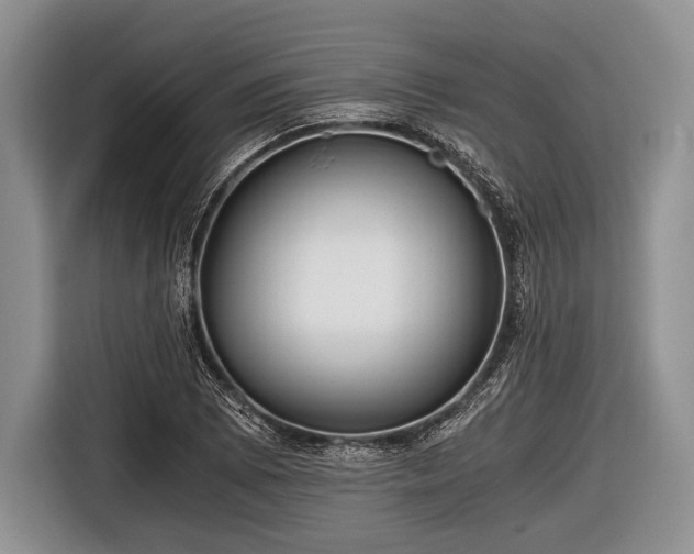 X0000116641073200912210957