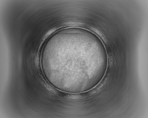 X0000116641074200912210957