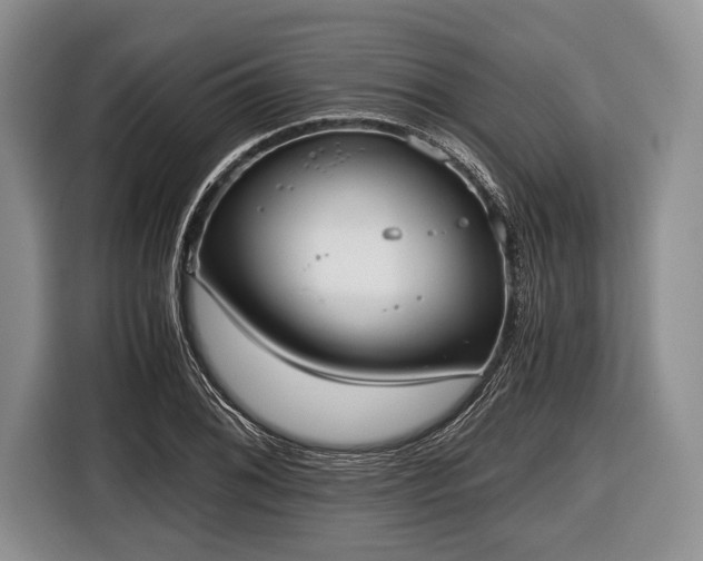 X0000116641076200912210957