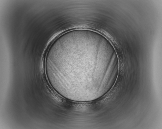 X0000116641078200912210957