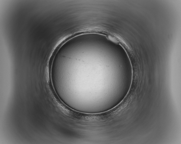 X0000116641079200912210957