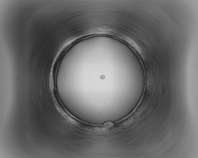 X0000116641080200912210957