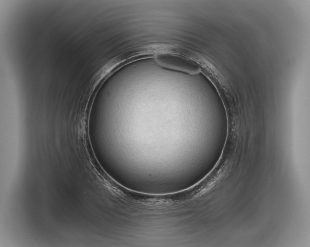 X0000116641081200912210957