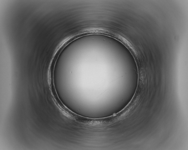 X0000116641082200912210957