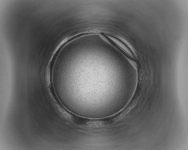 X0000116641083200912210957