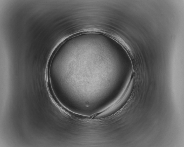 X0000116641084200912210957