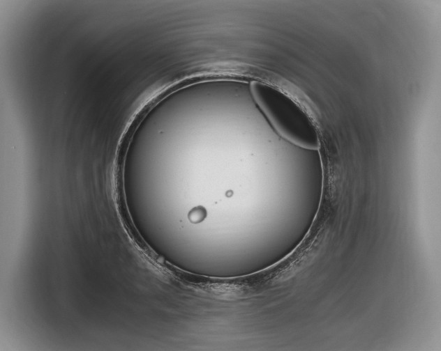 X0000116641085200912210957