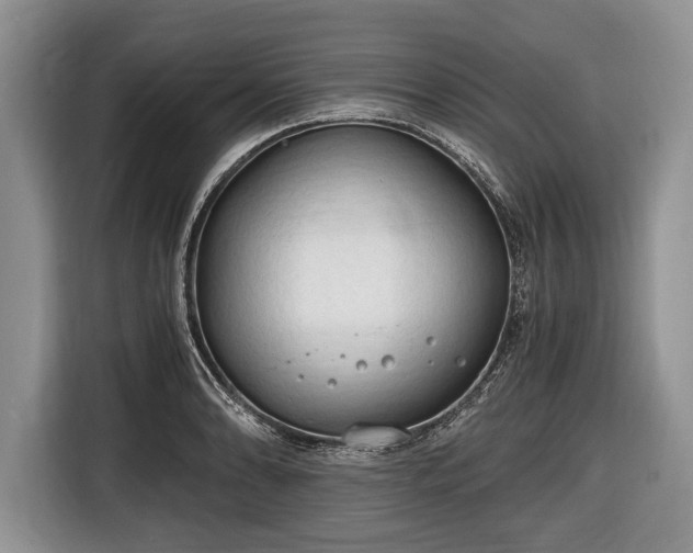 X0000116641086200912210957