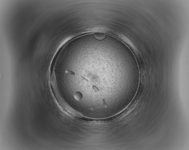 X0000116641087200912210957