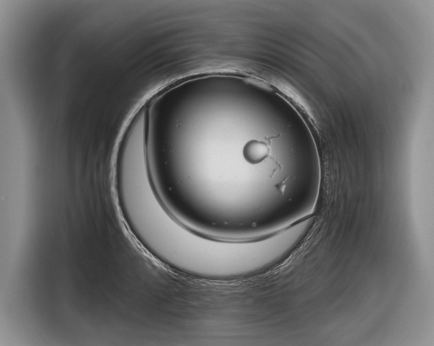 X0000116641088200912210957