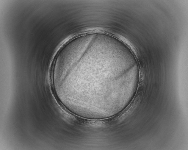 X0000116641090200912210957