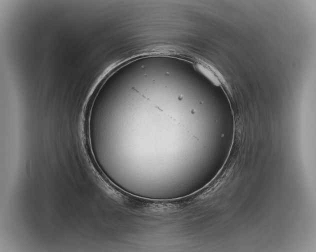 X0000116641091200912210957