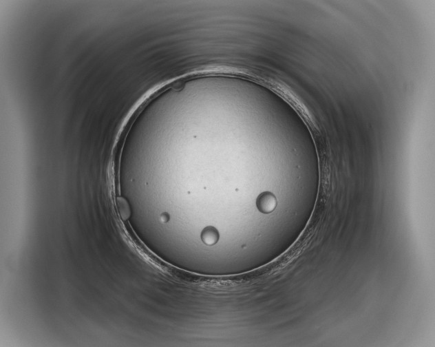 X0000116641092200912210957